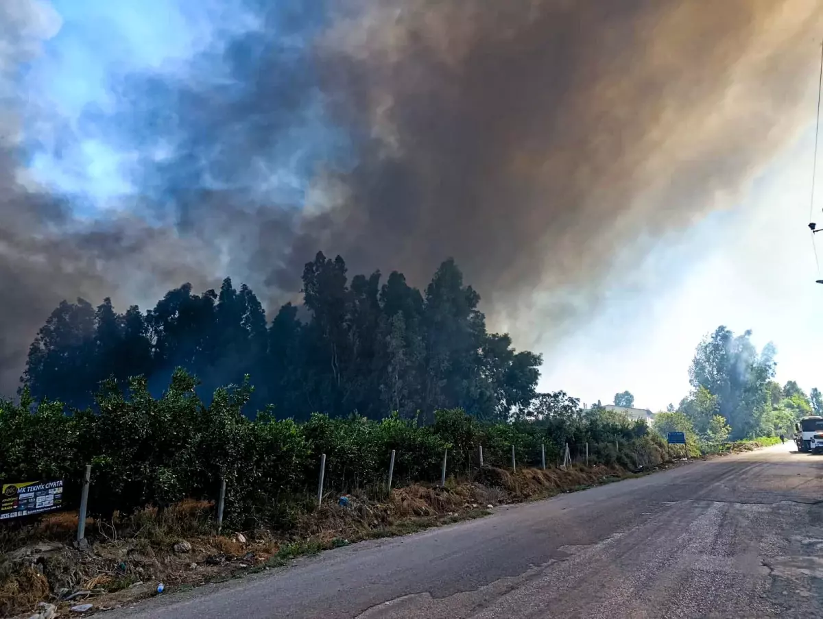 adanada yanginla mucadele bdrURsON