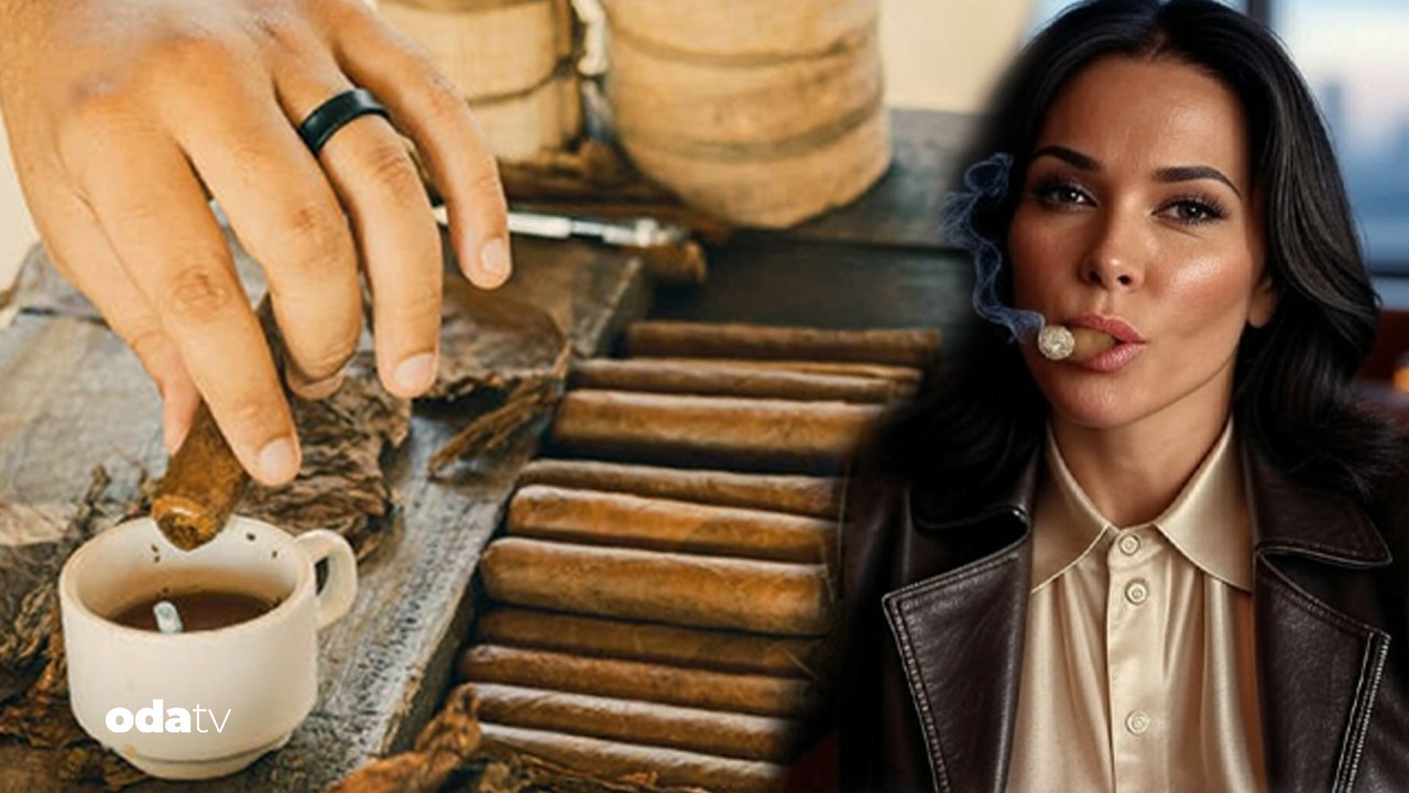 onlar habanosun gizli kahramanlari puro mesleklerinin dunyasi SFmlDmte