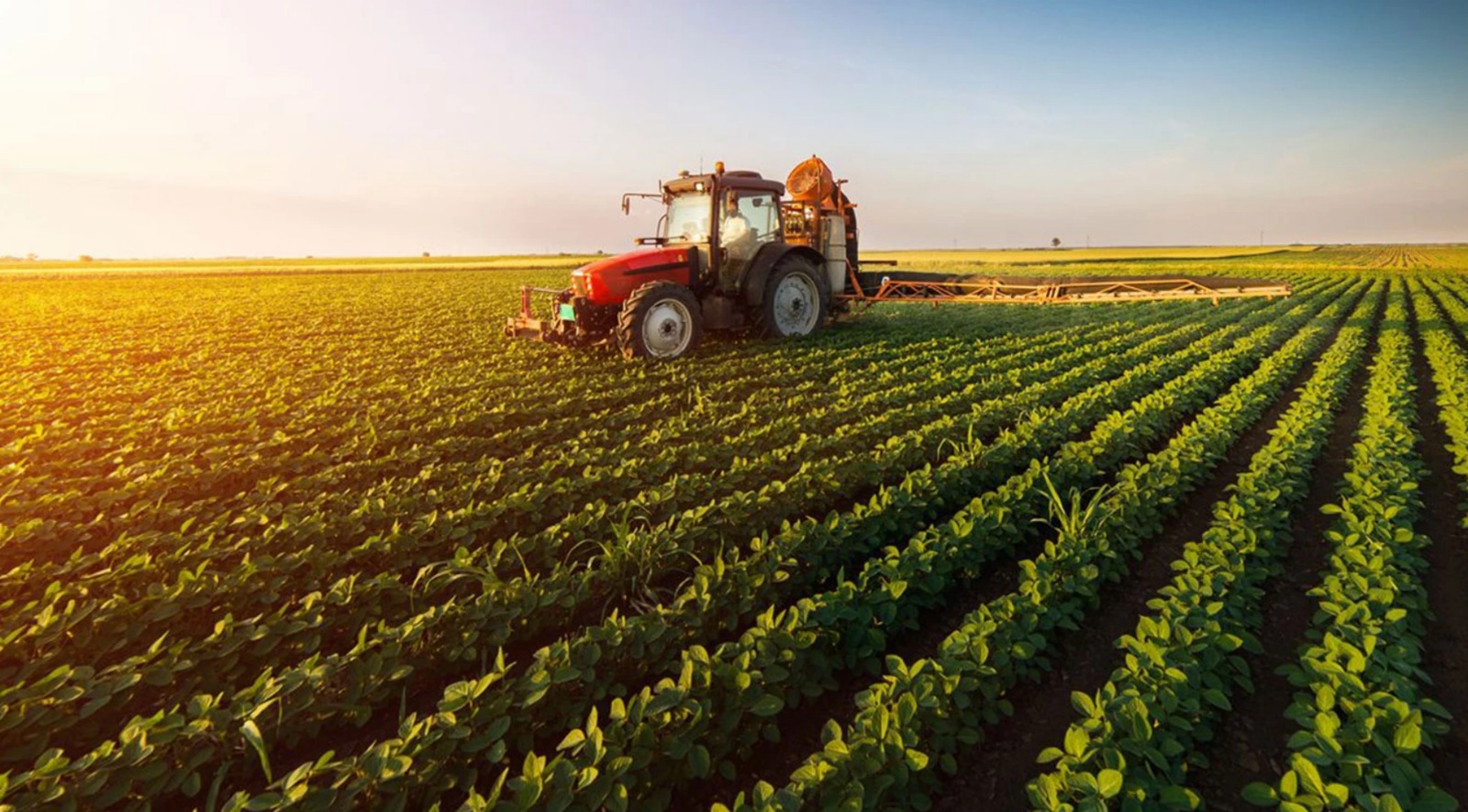 tarim sektorunde kotu haber RA54GK6c