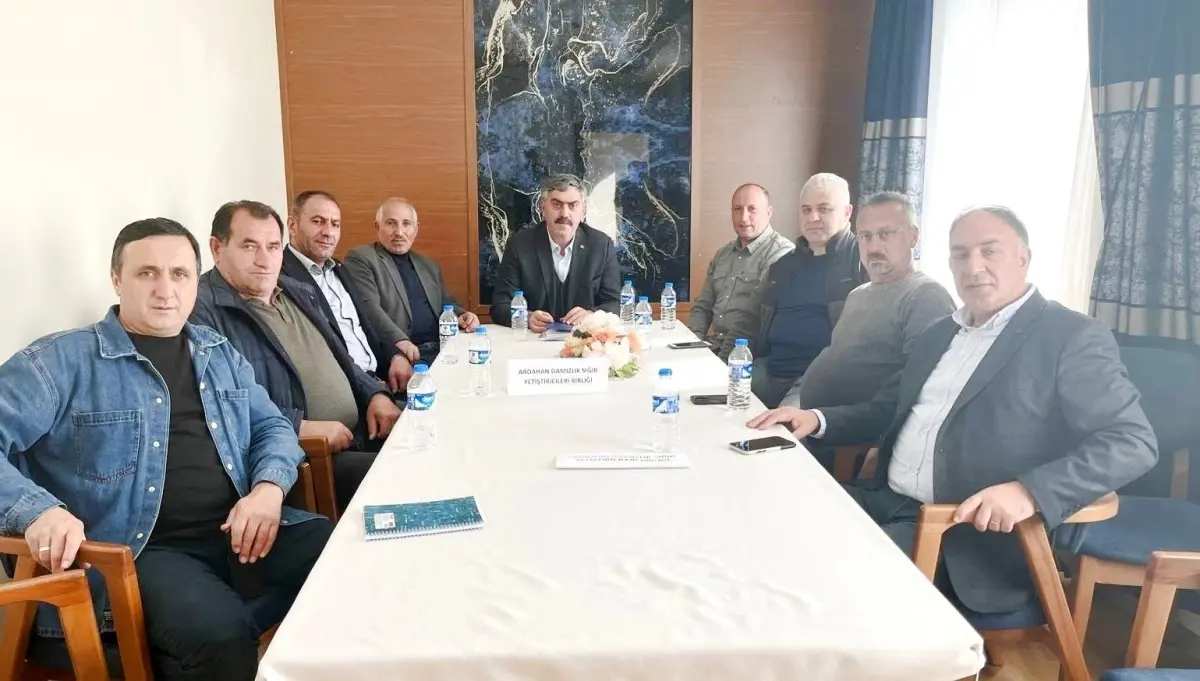 ardahan sigir yetistiriciliginde basarilar 7ukG8xKj.jpg