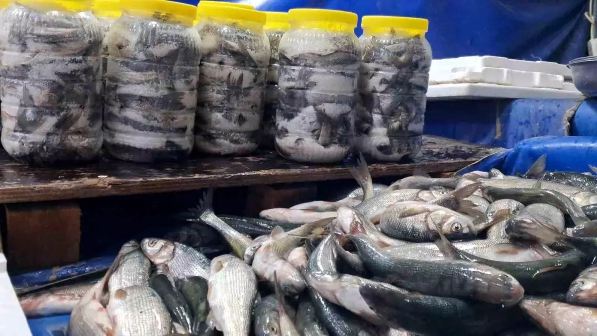 inci kefali tezgahlarda TnXV8R9w.jpg