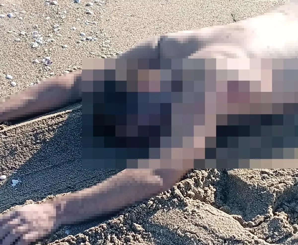 sakaryada ciplak erkek cesedi bulundu m8ej7vGq