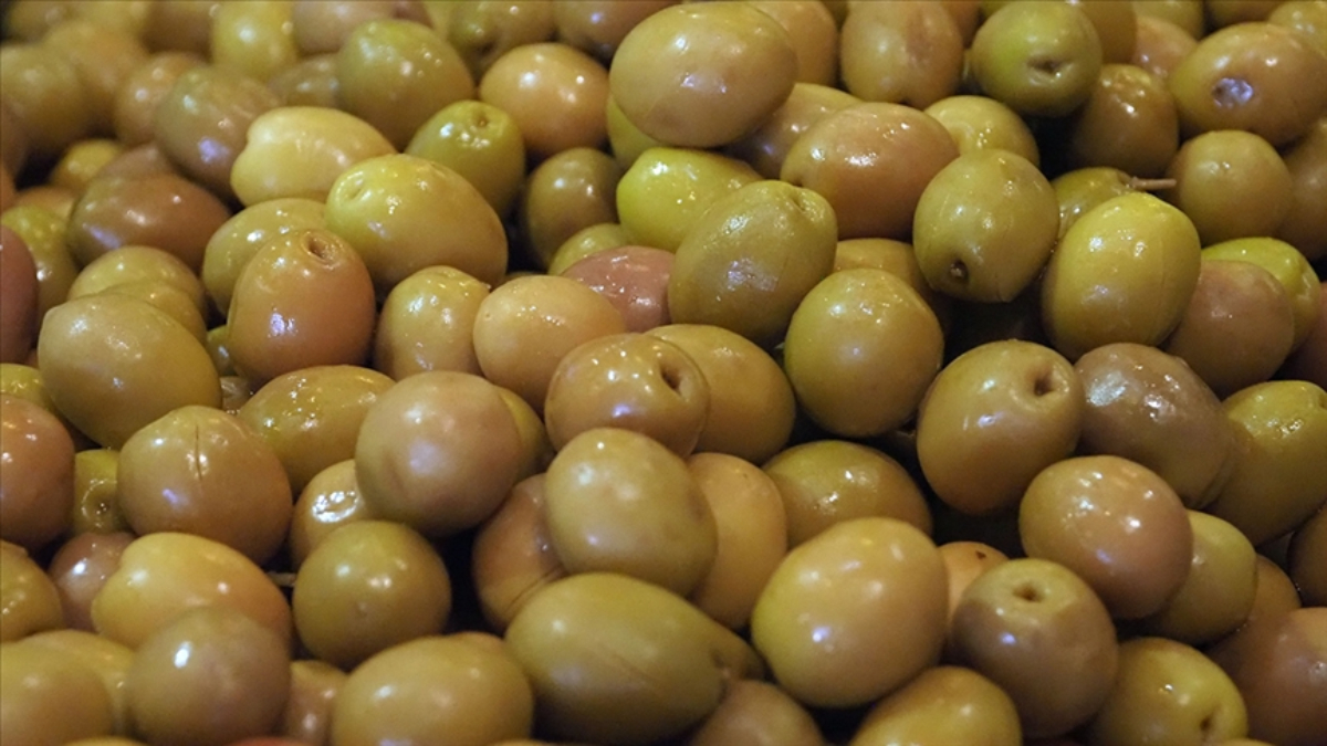 sofralik zeytin ihracatinda tarihi basari 255 milyon dolar CTE2t4lF